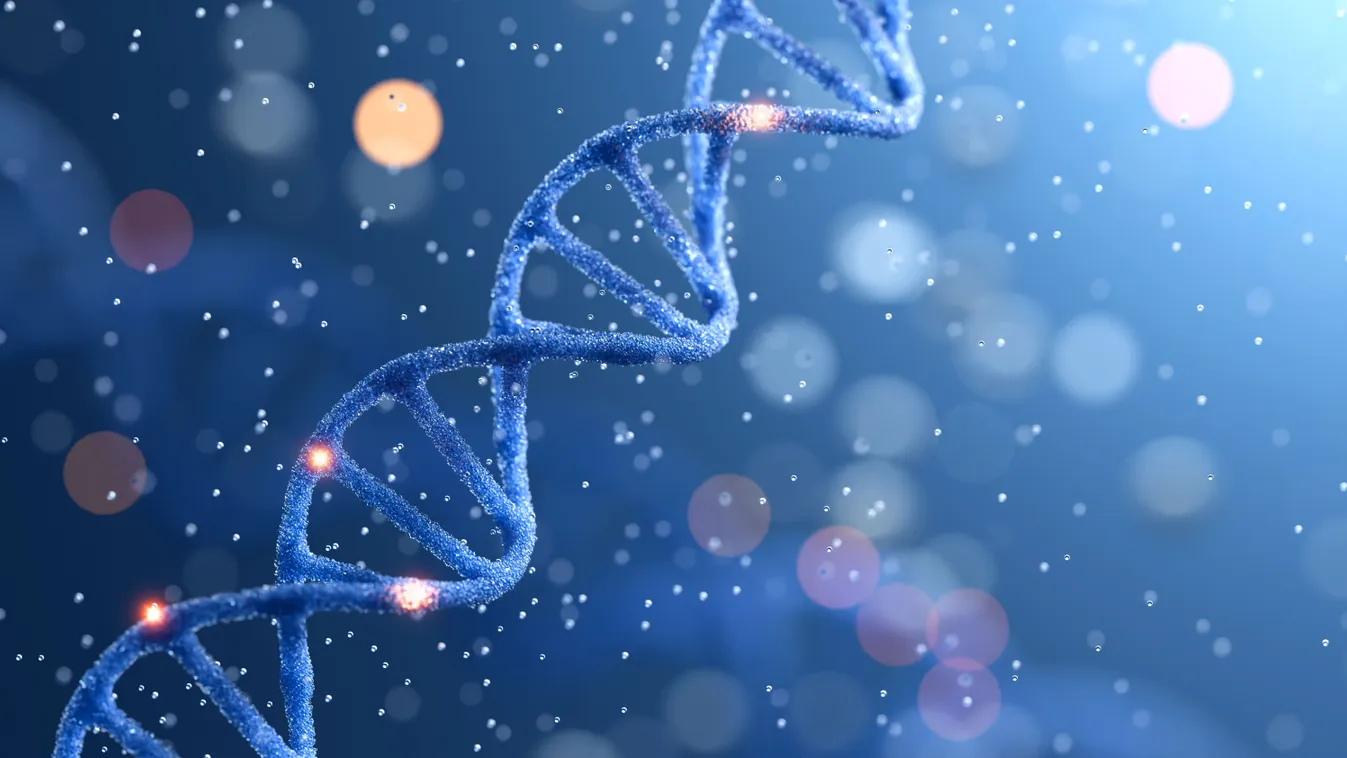 „150 ezerért árulom a spermám, és már van 100 gyerekem”