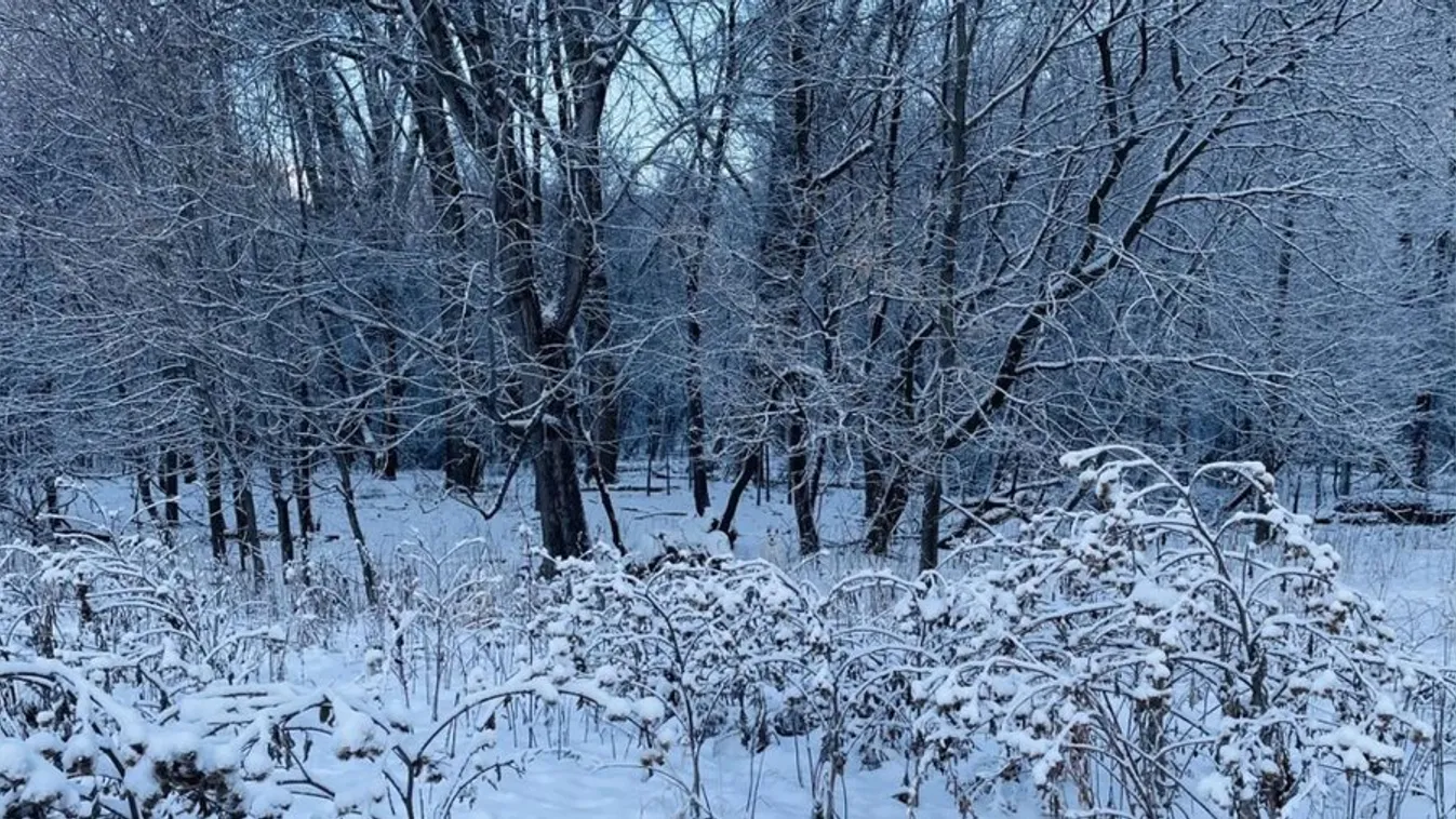 Lehetetlen kvíz, az emberek sírva fakadnak a megoldáson