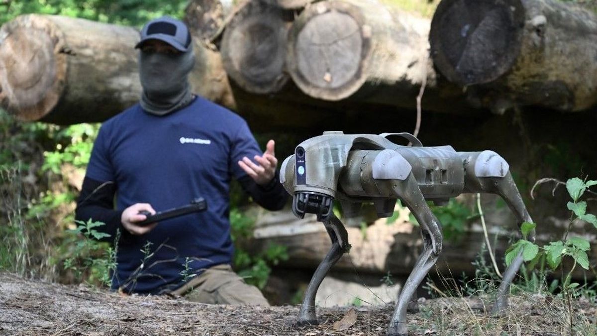 Az ukránok robotkutyákat vetnek be az oroszok ellen
