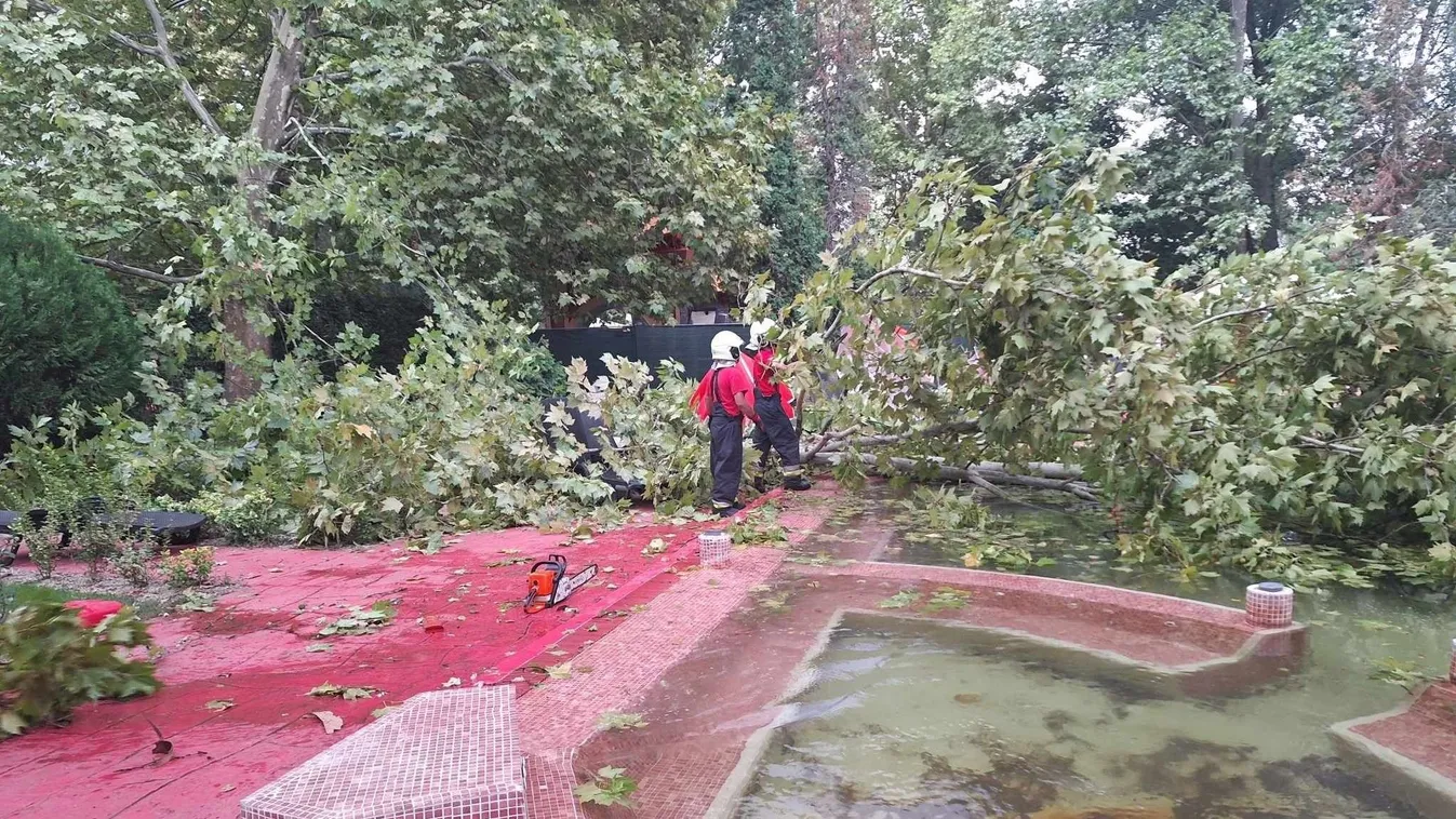 Fürdőzőkre döntötte a fát a vihar a ráckevei strandon