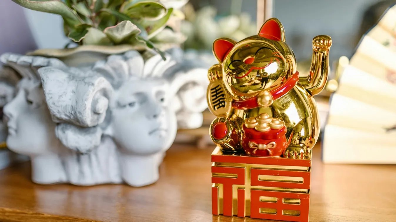 A feng shui számod fontos dolgot árul el rólad