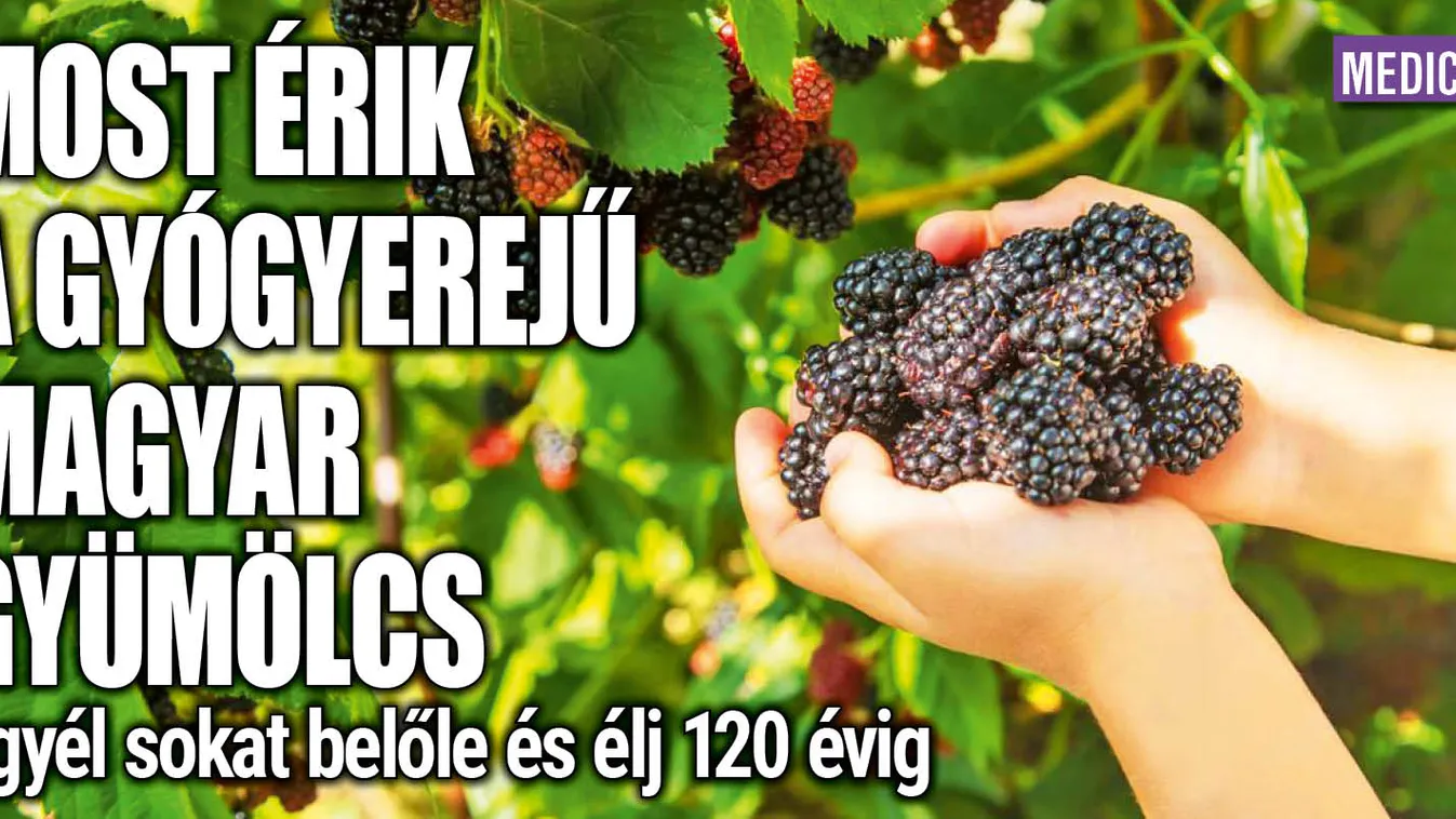 Most érik a gyógyerejű magyar gyümölcs