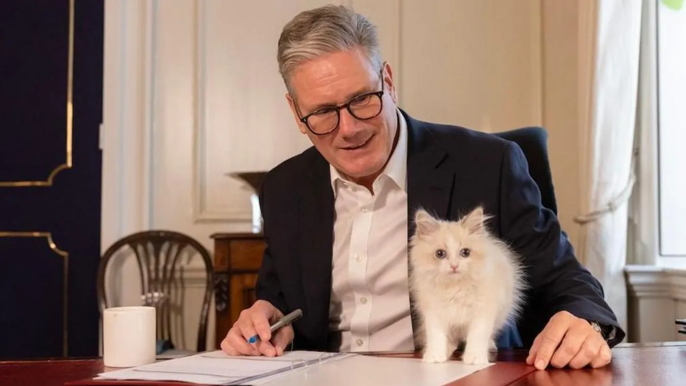 Macskája miatt vádolják ororszpártisággal a brit kormányfőt