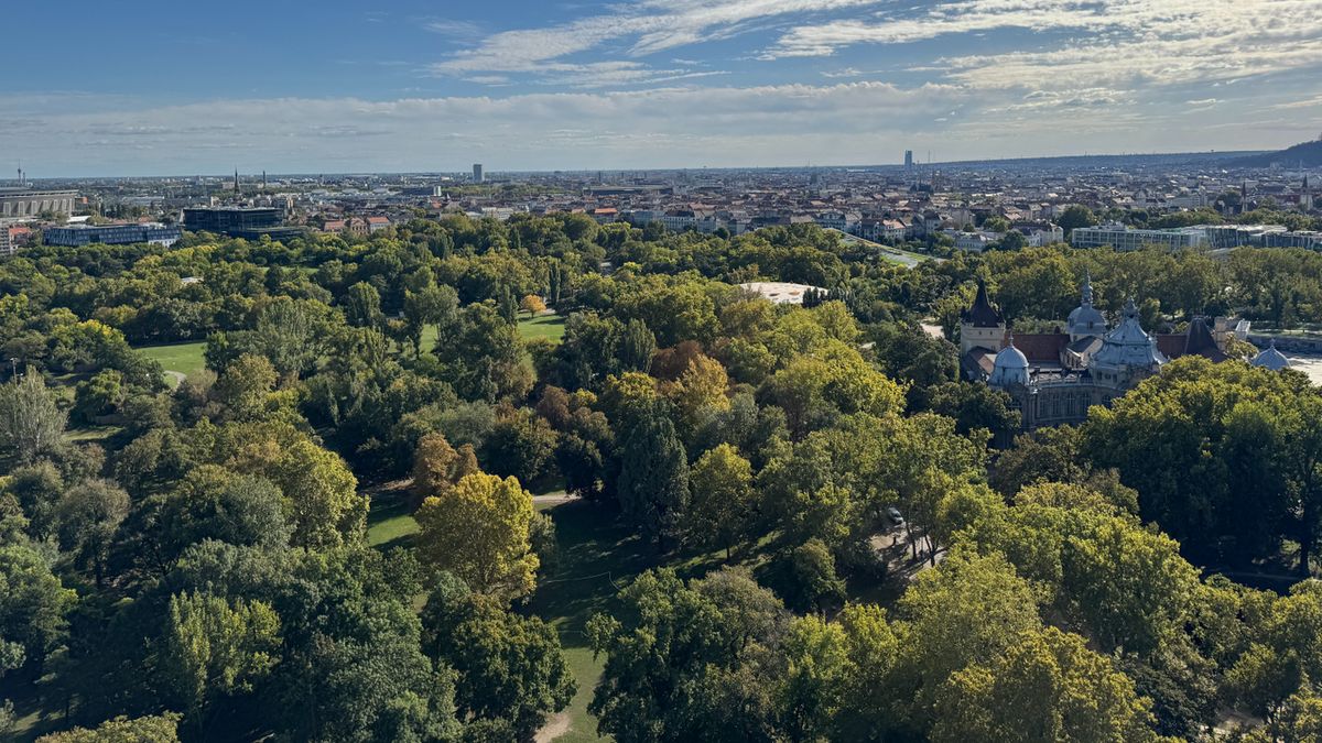 Újabb zöldterületekkel folytatódik a Városliget szépítése