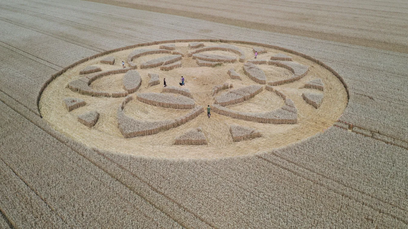 Rejtélyes dolgot vett észre a magyar gabonakör kutató