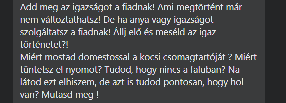 Súlyos vádakat vágott az eltűnt tini édesanyjához egy nyilvános kommentben az rejtélyes alak /