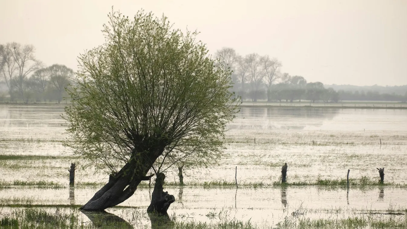 Árvíz: megnyitották a szükségtározót a Lajtánál