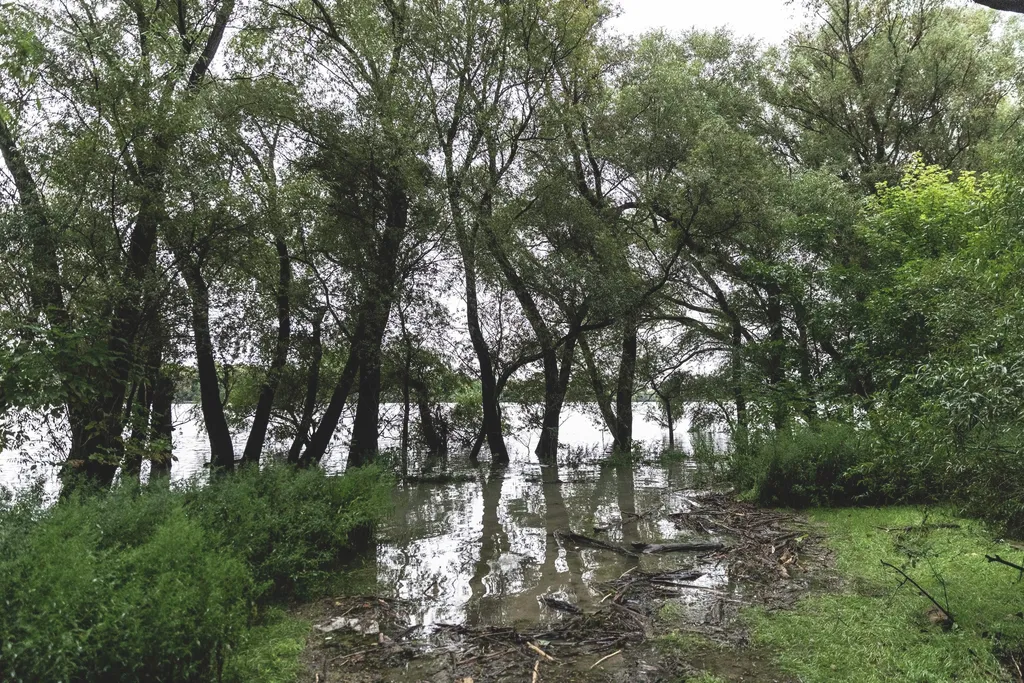 Dunaalmáson még este is dolgoztak az áradás védelme érdekében (21)
