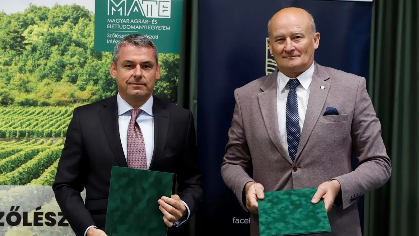 Még kiválóbb magyar borok születhetnek, ez a titka