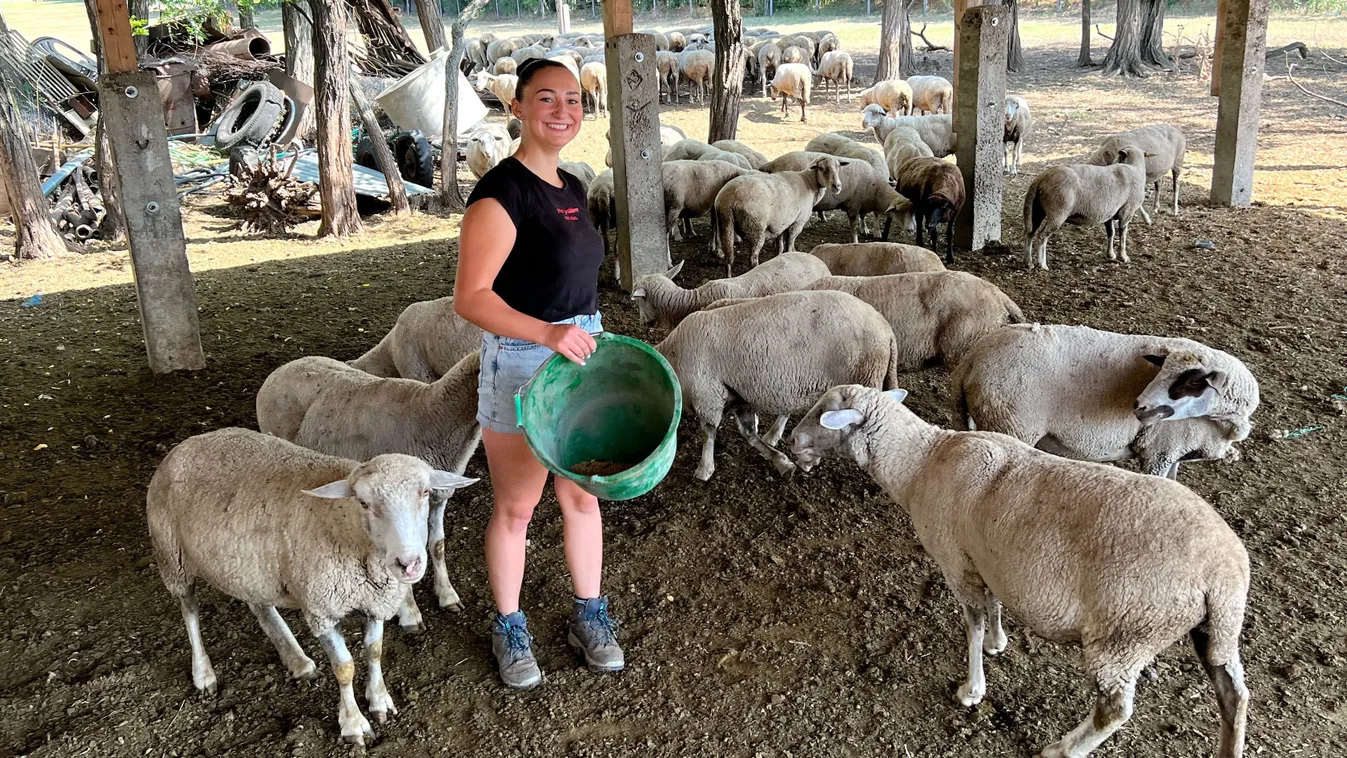 Rengeteg elismerést kap Szibilla, a tanyasi lány