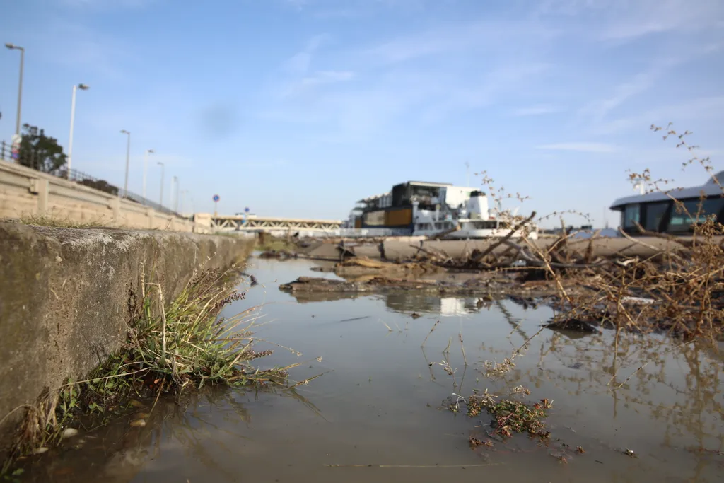  Budai rakpart egészen a Római partig
