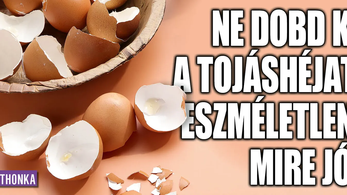 Ne dobd ki a tojáshéjat, eszméletlen, mire jó!