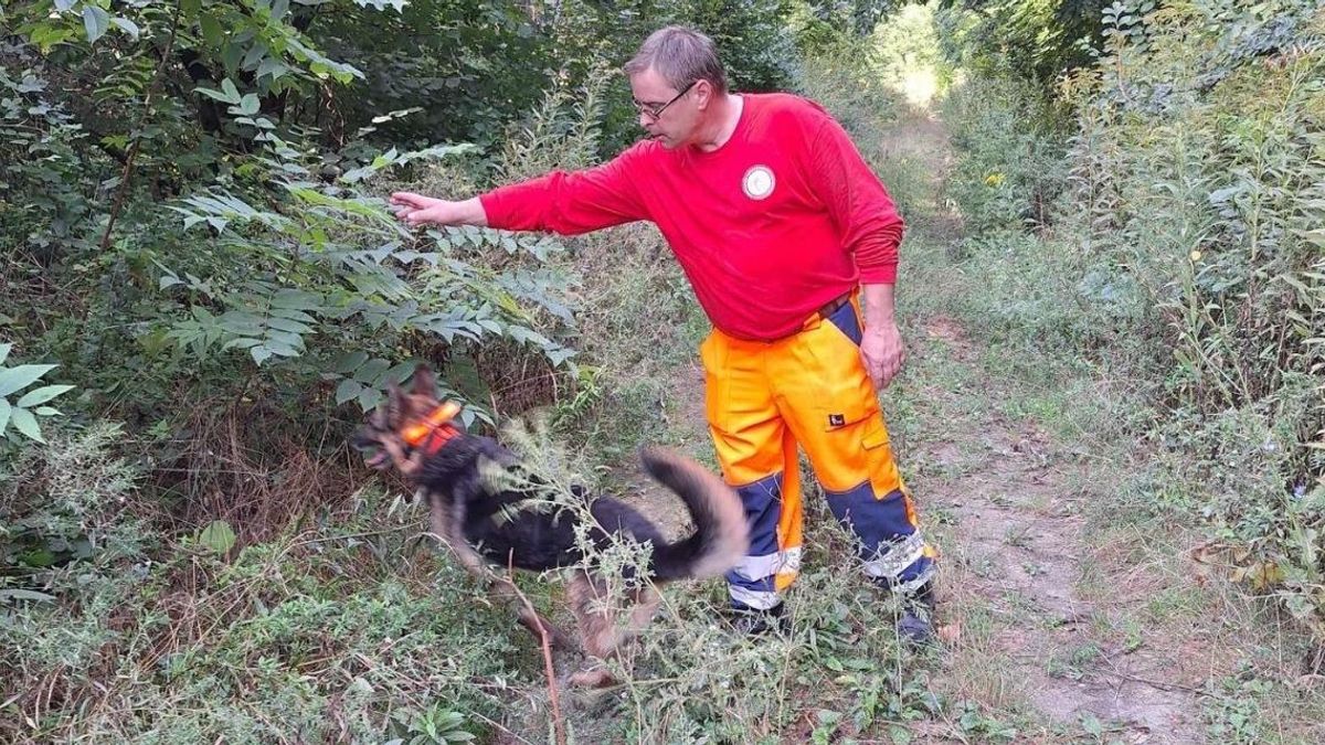 Holtan találták meg az eltűnt Danit, megrázó részletek derültek ki a tragédiáról