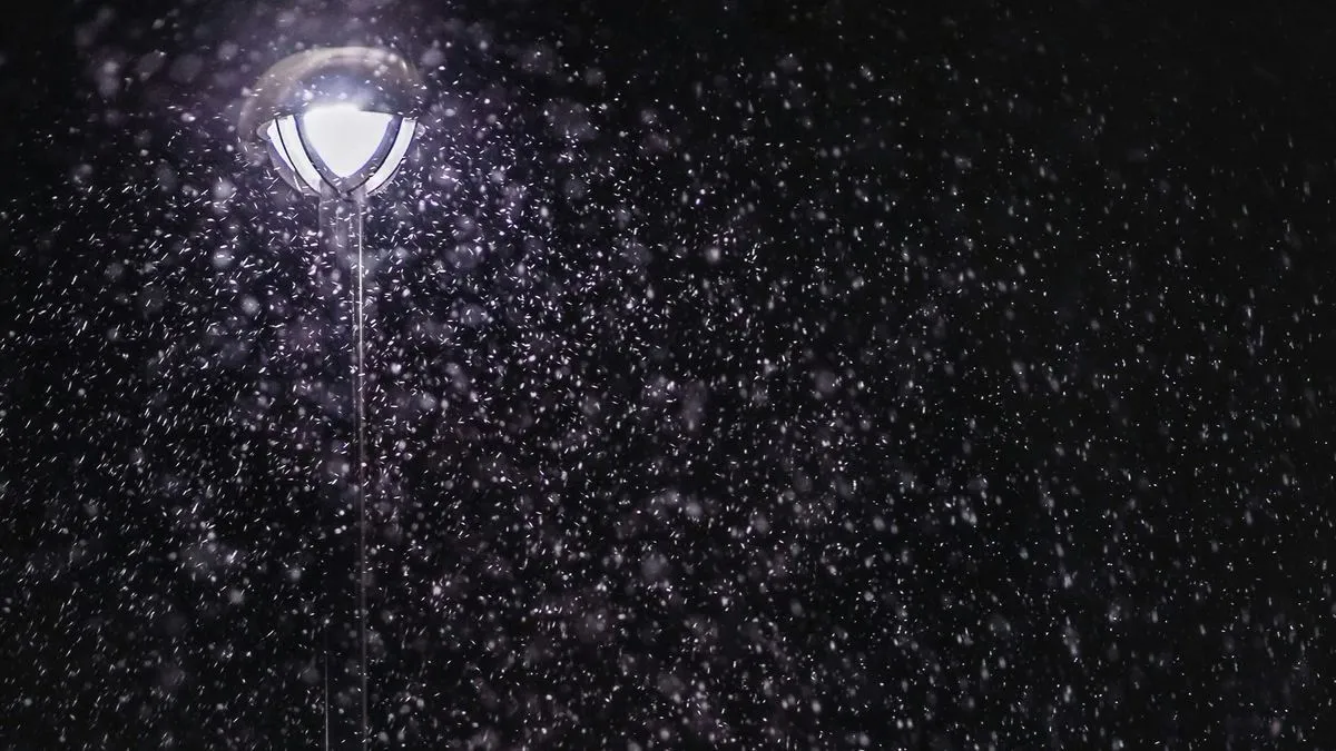 árvaszúnyog Zamárdi top5