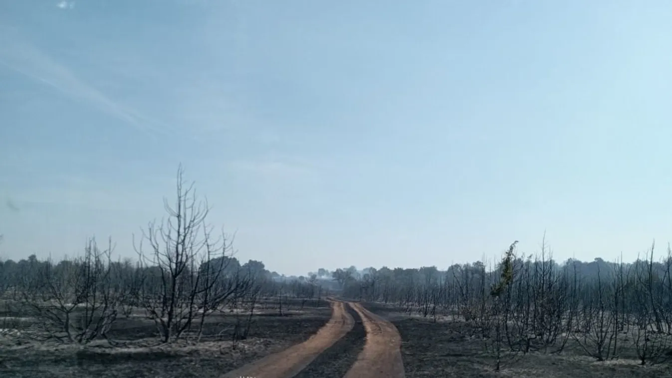 Hihetetlen, hogyan szúrták ki a brutális ajkai tüzet