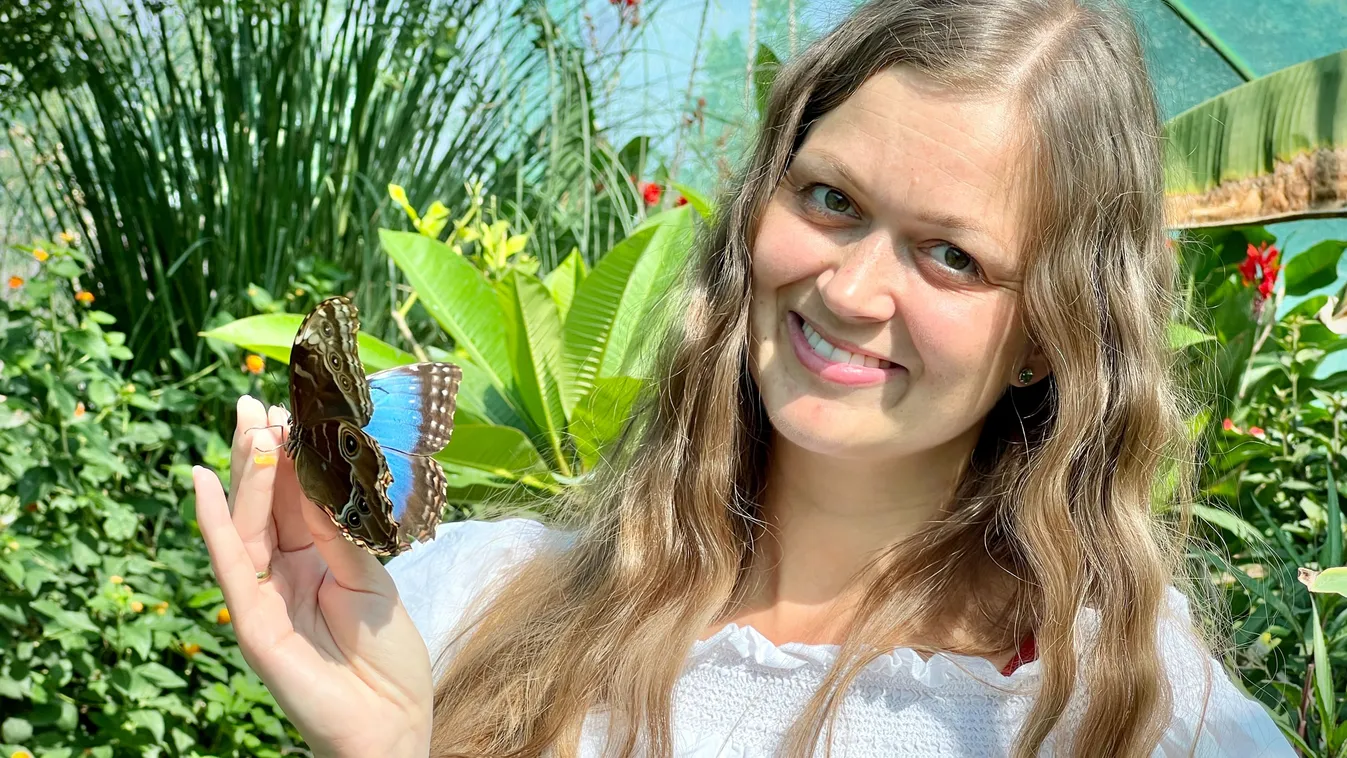 Lepkeparadicsomot hozott létre a csepeli házaspár