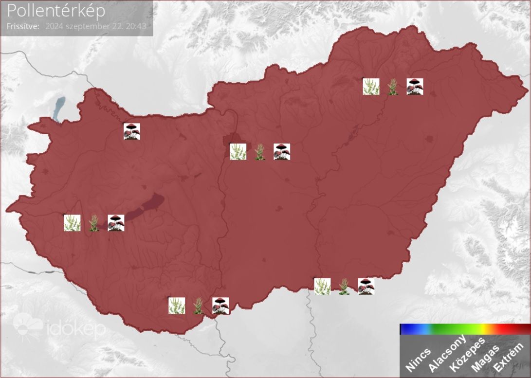parlagfű, allergia, pollen, pollentérkép, veszély,