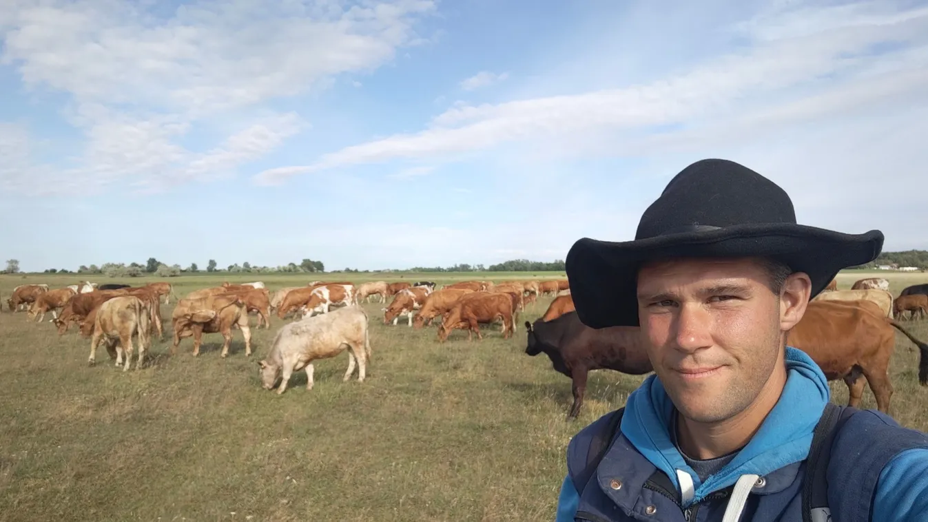 Komoly műtétre szorul az ország leghíresebb csordása