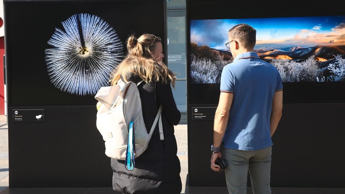 Végre megnyílt! Ingyen láthatók a Magyarország 365 program pályázatának remekművei – Galéria