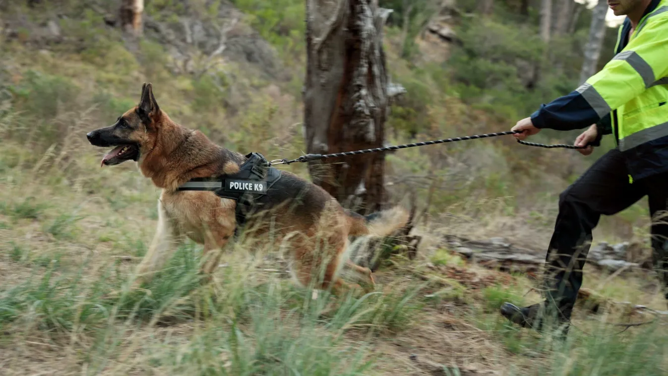 Az eltűnt bükkaranyosi Balázs haláláról pletykálnak