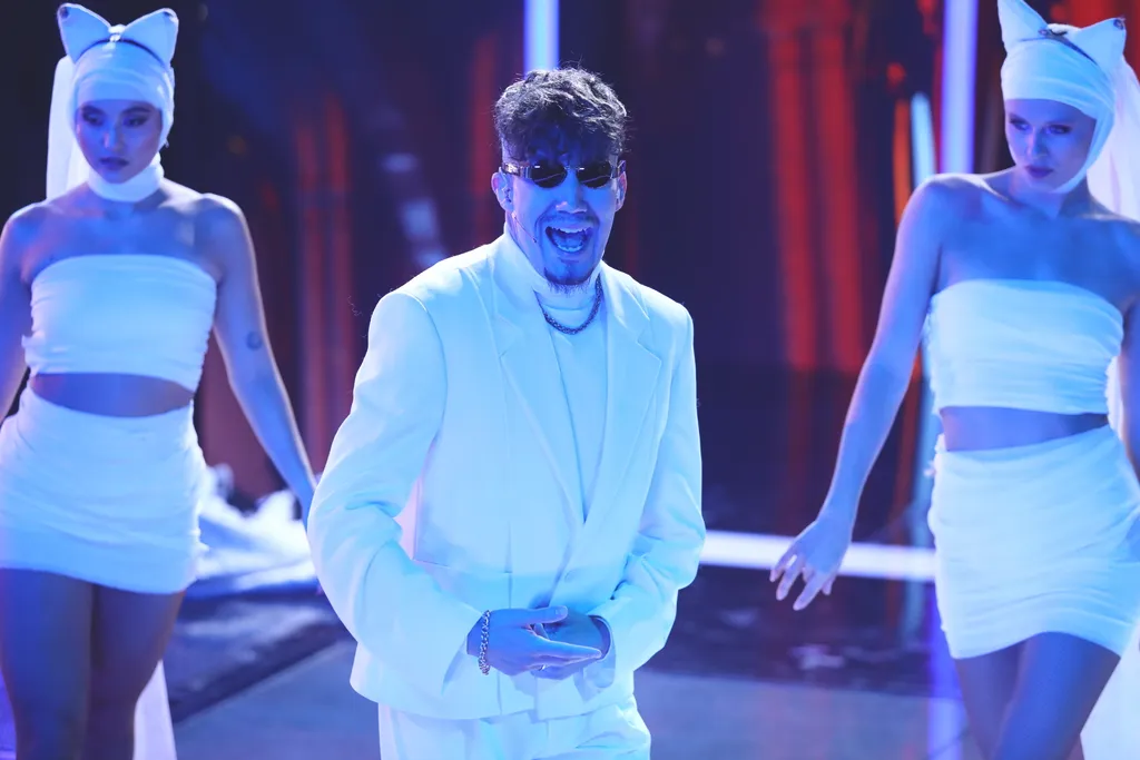 pál dénes, mint desh, sztárban sztár all stars