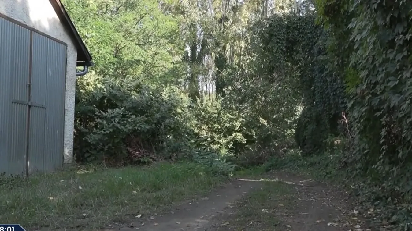 Így temetik el a 12 évesen megölt Rebekát