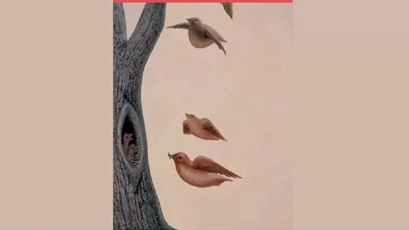 Fontos dologra világít rá önmagaddal kapcsolatban ez a teszt