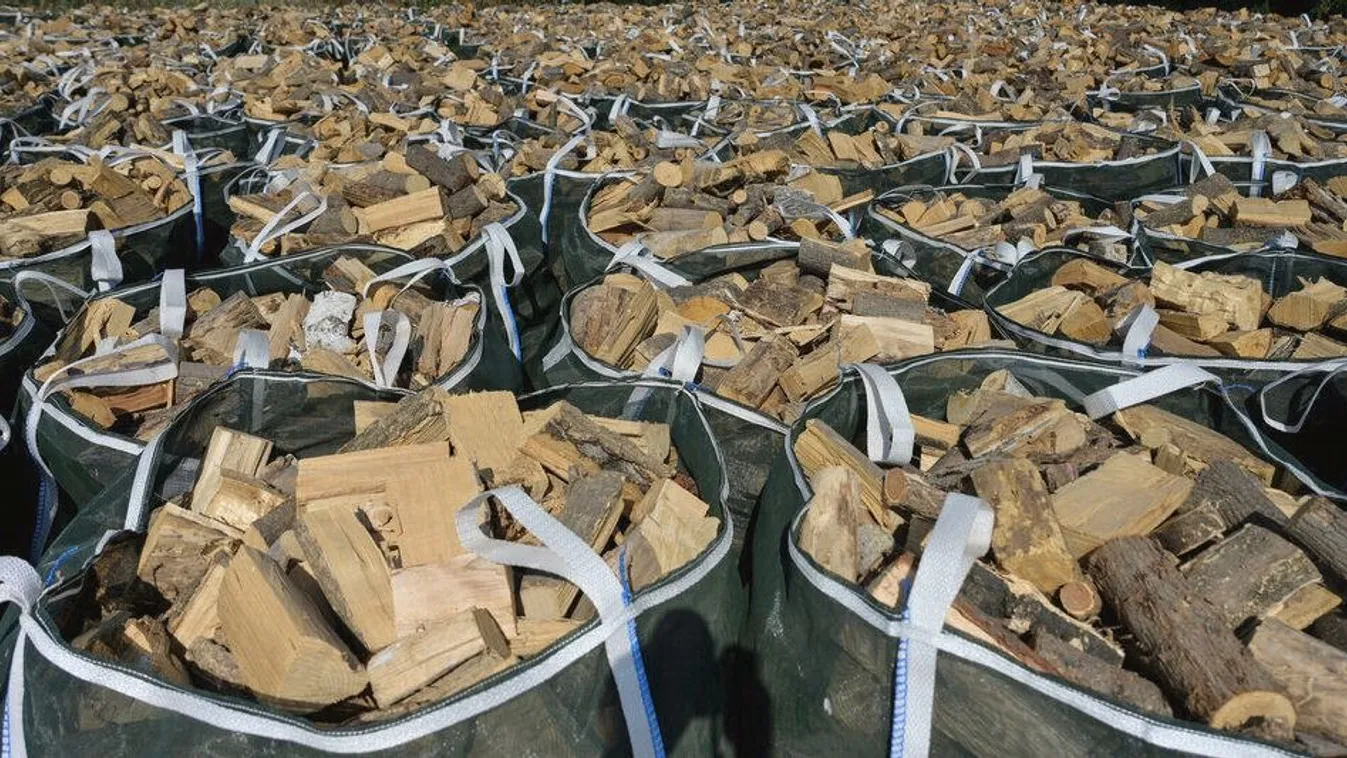 Innen semmiképp se rendelj tűzifát, figyelmeztet a hatóság