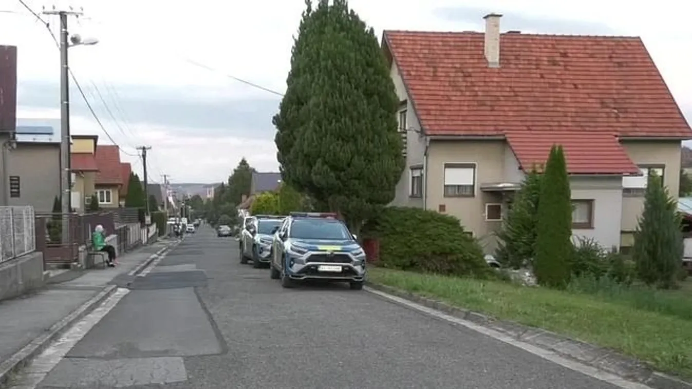 Kiskorú unokahuga talált rá az 56 éves Milán holttestére