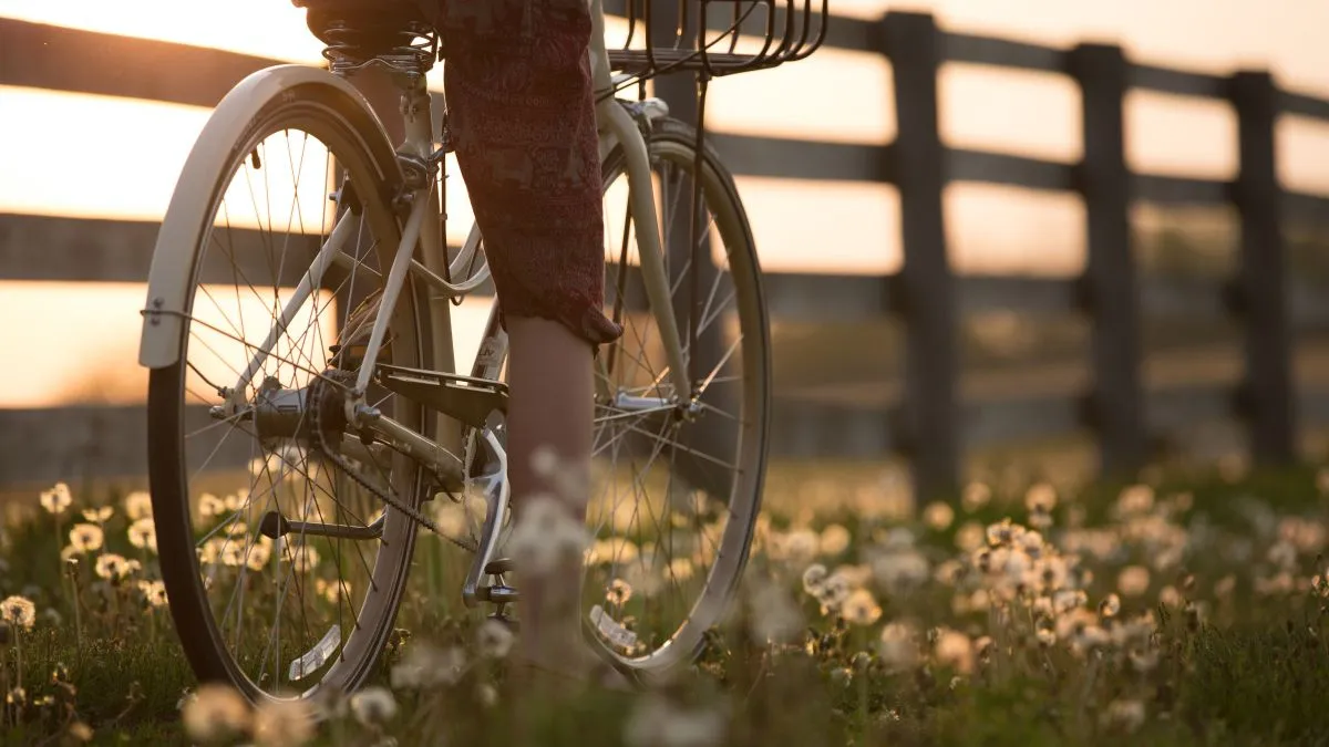 bicikli kerékpár, bringás, bringa,