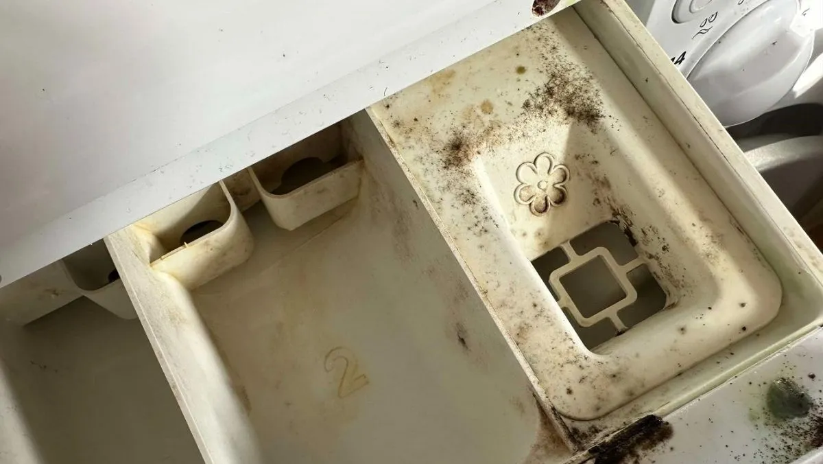 A legegyszerűbb trükk a mosógép tisztán tartásához