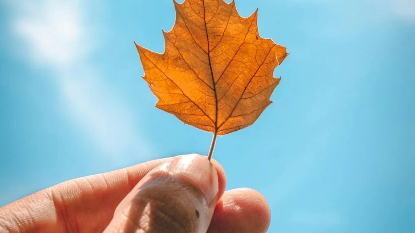 A vénasszonyok nyara emiatt a jelenség miatt folytatódik
