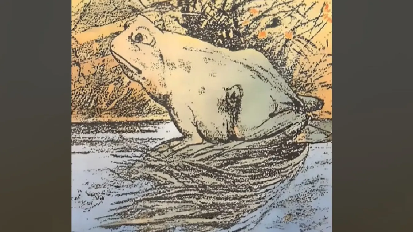 Ez a teszt fontos dolgot árul el a személyiségedről! - Videó