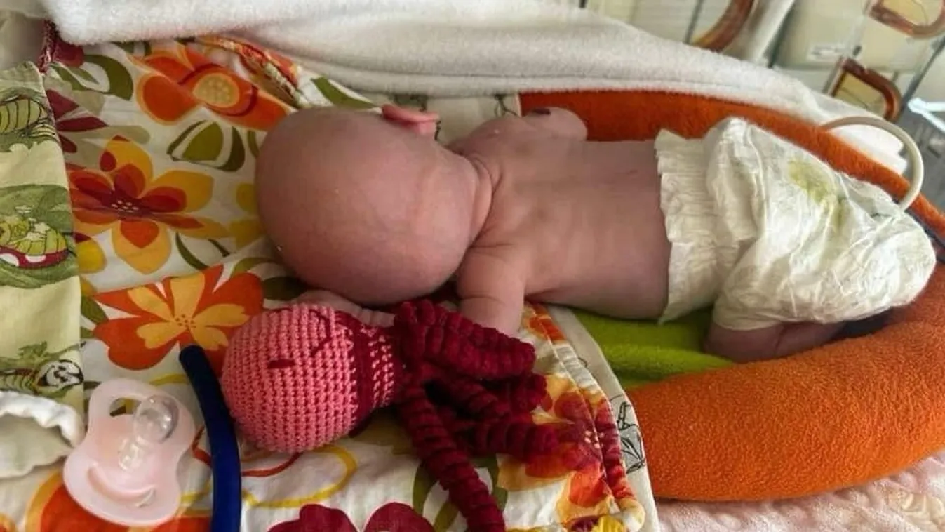 Kétségbeesve kér segítséget Florina Bella édesapja