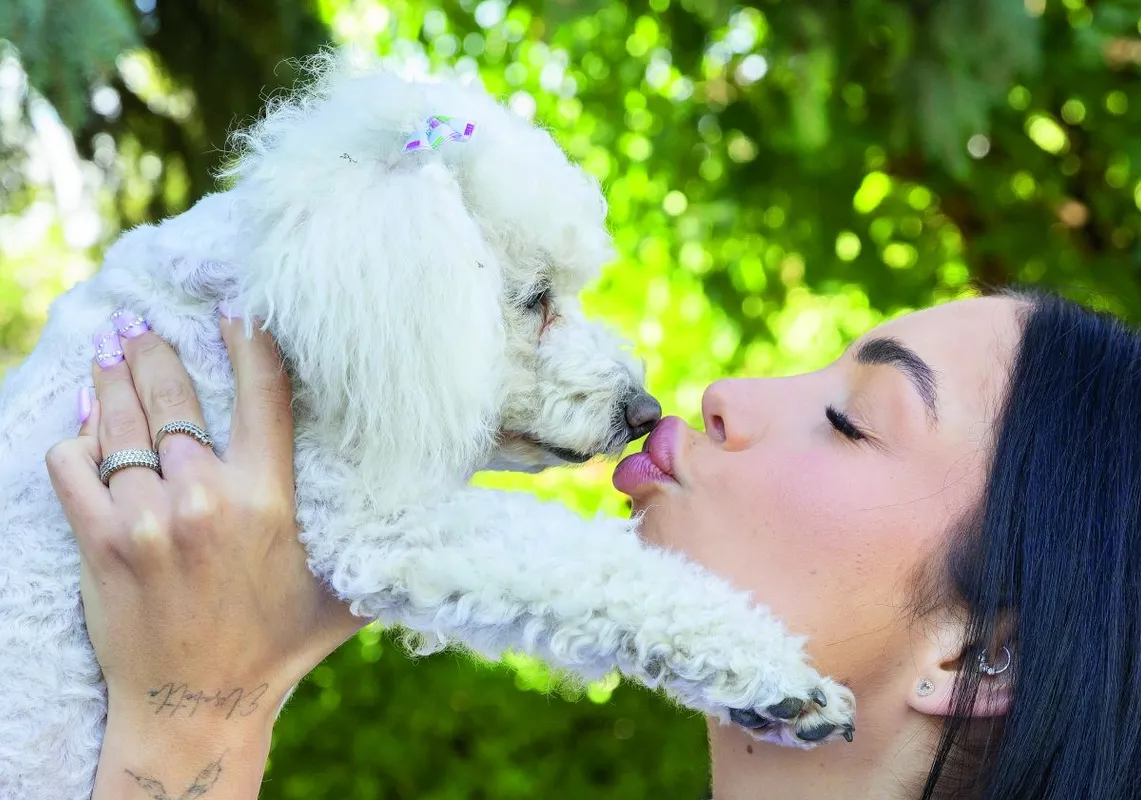 A Kísértés Cynthia kutya