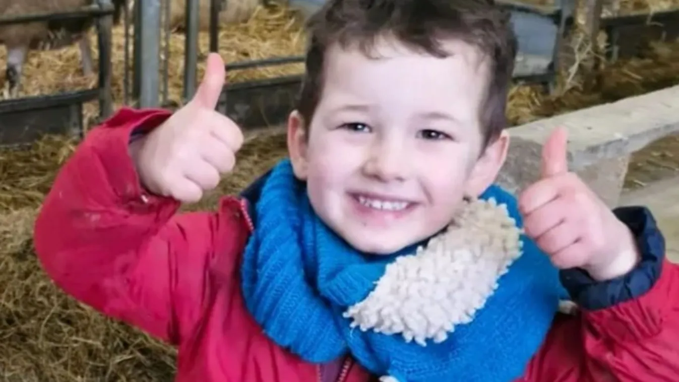 Vashenger dőlt a kisfiúra a család kertjében, nem élte túl