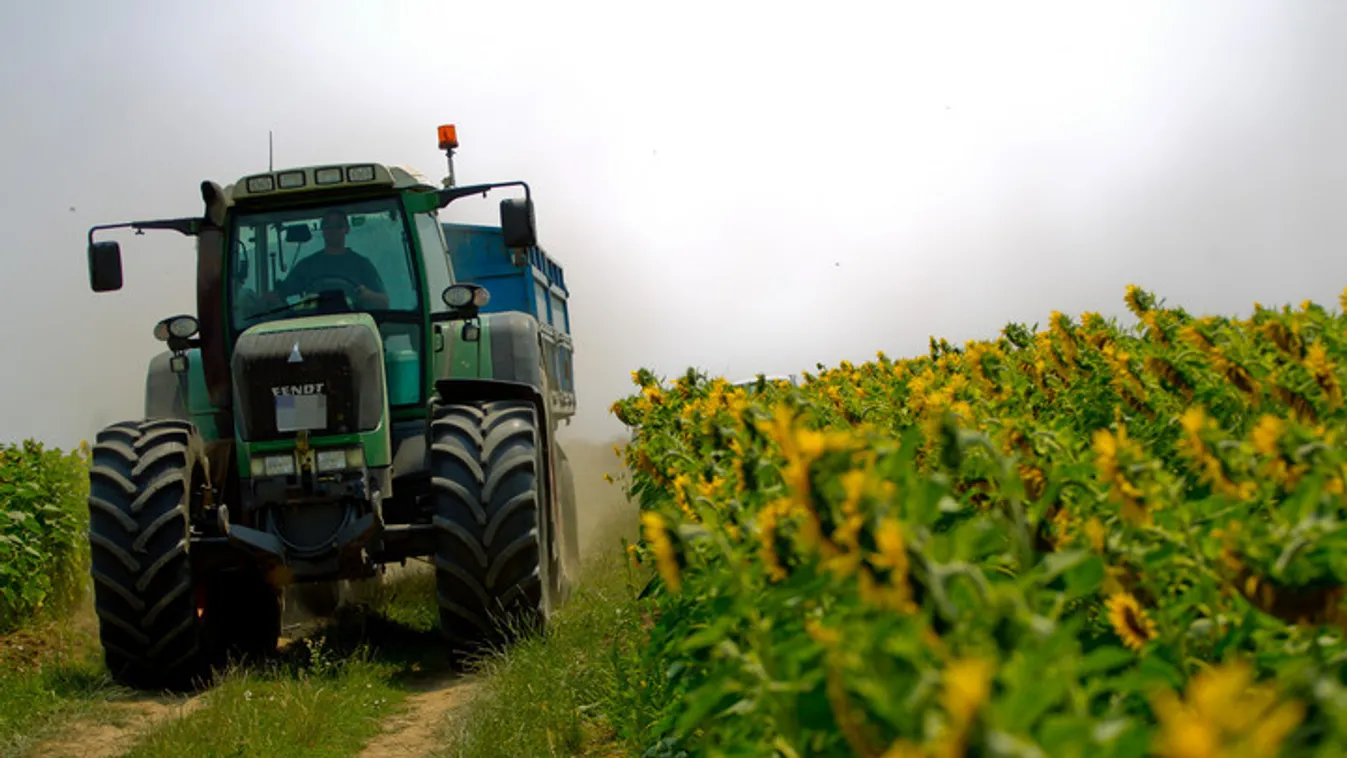 Óriási érvágás lenne a területalapú támogatások kivezetése