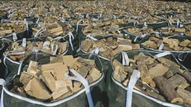 15 dolog, amire mindenképpen figyelj tűzifavásárláskor