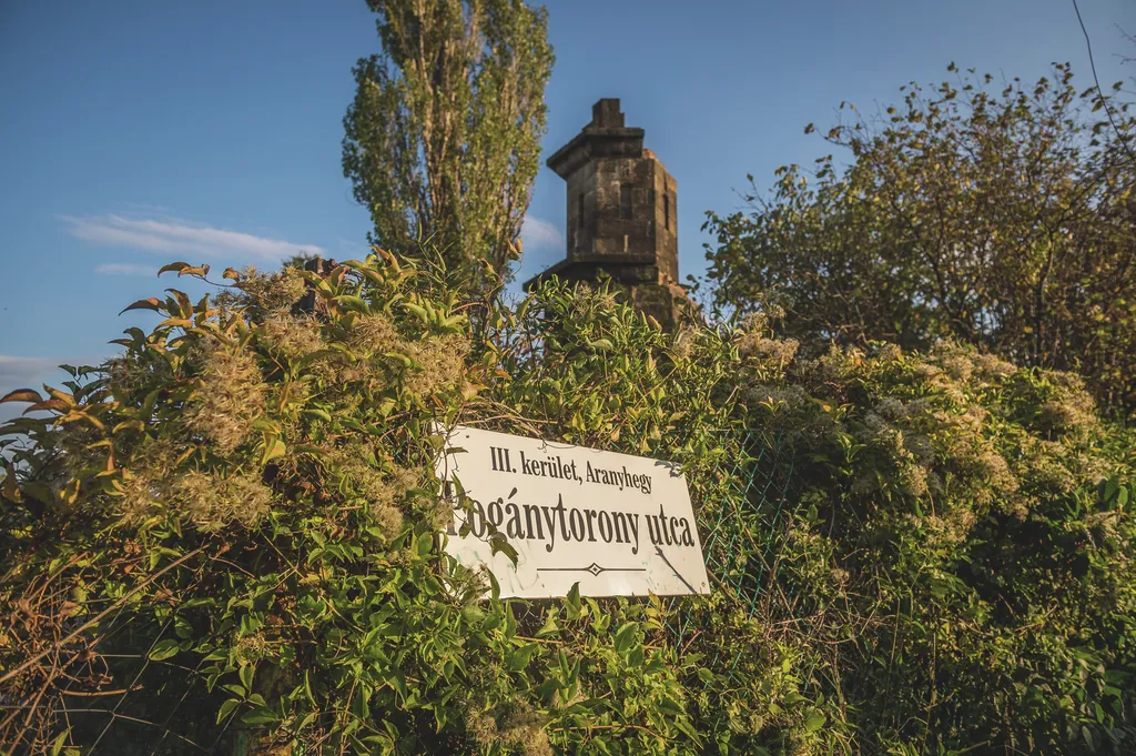 Pogánytorony (13 of 13)