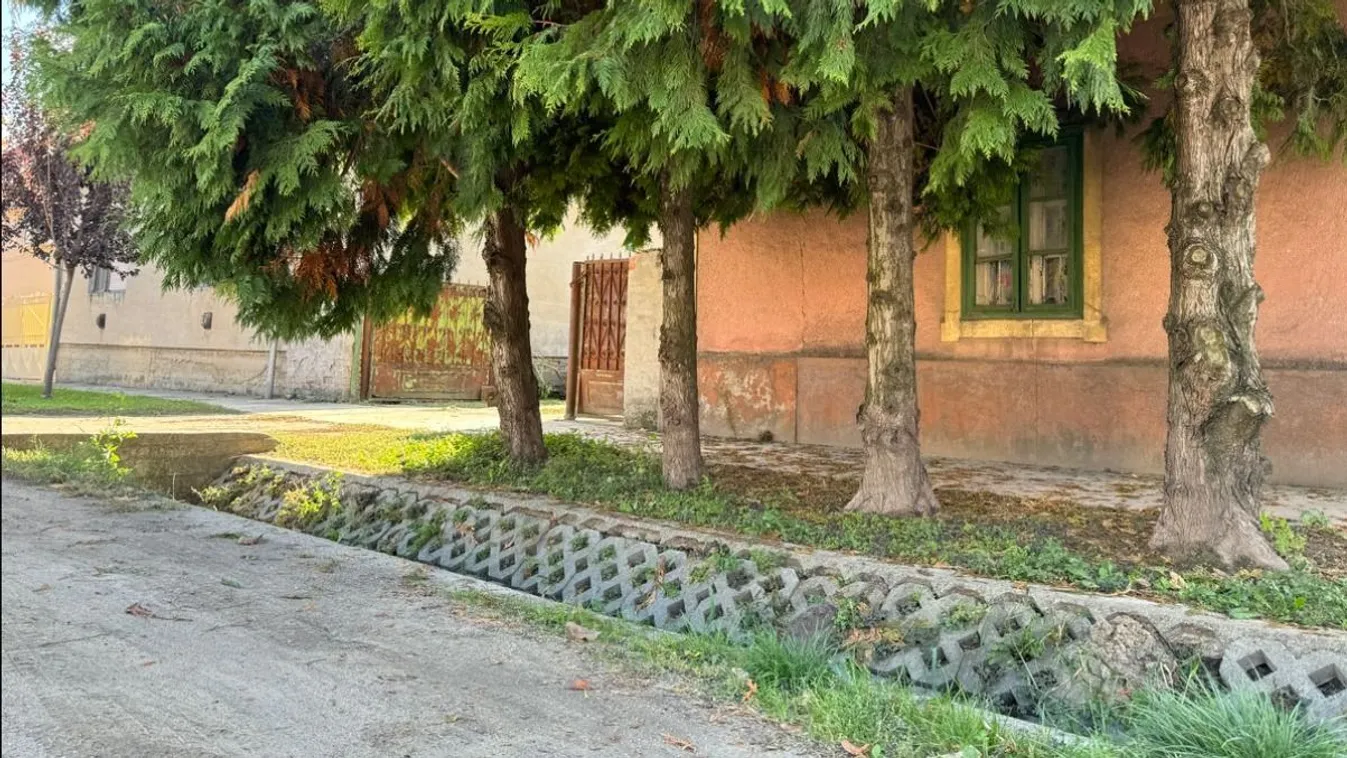 Bújtatják Kevint, aki a BMW-ben ült Sallai Nóra balesetekor