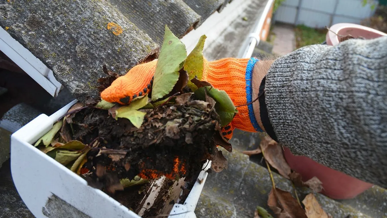 Ez lesz a vége, ha ősszel nem takarítod ki az ereszt