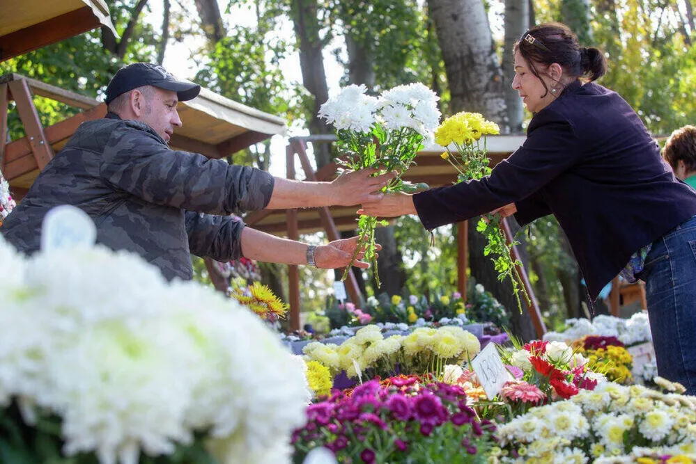 virág temető halottak napja mindenszentek