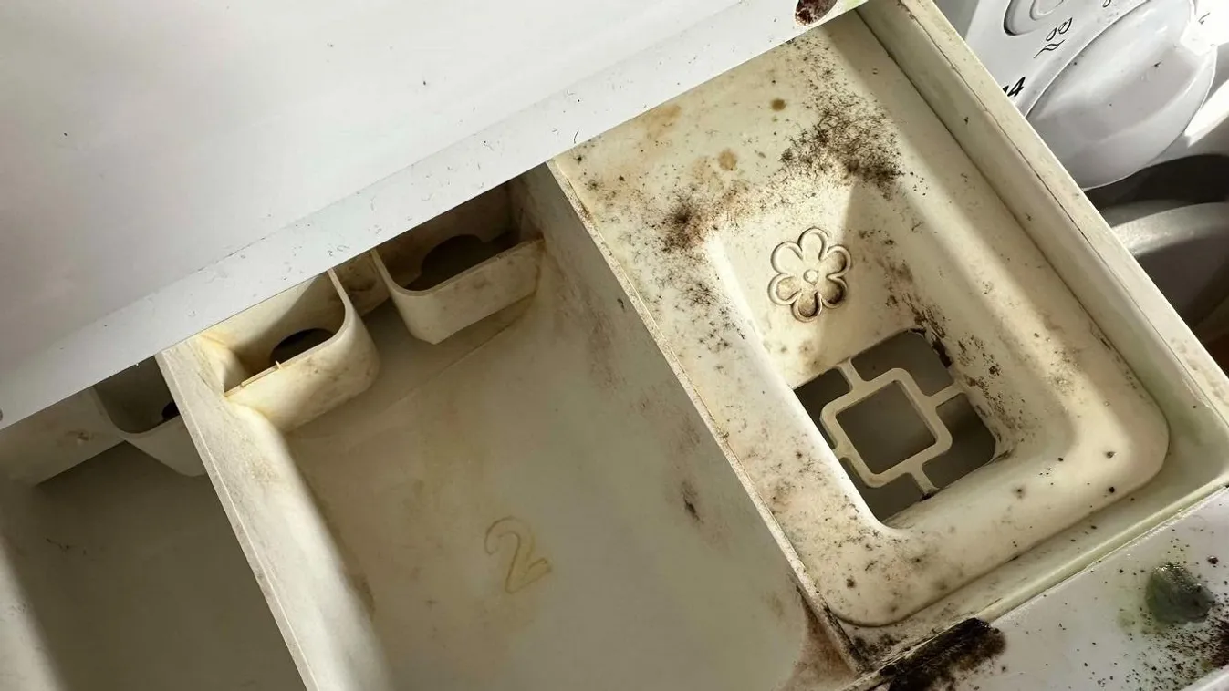 Ez történik a mosógépeddel, ha túl sok öblítőt használsz