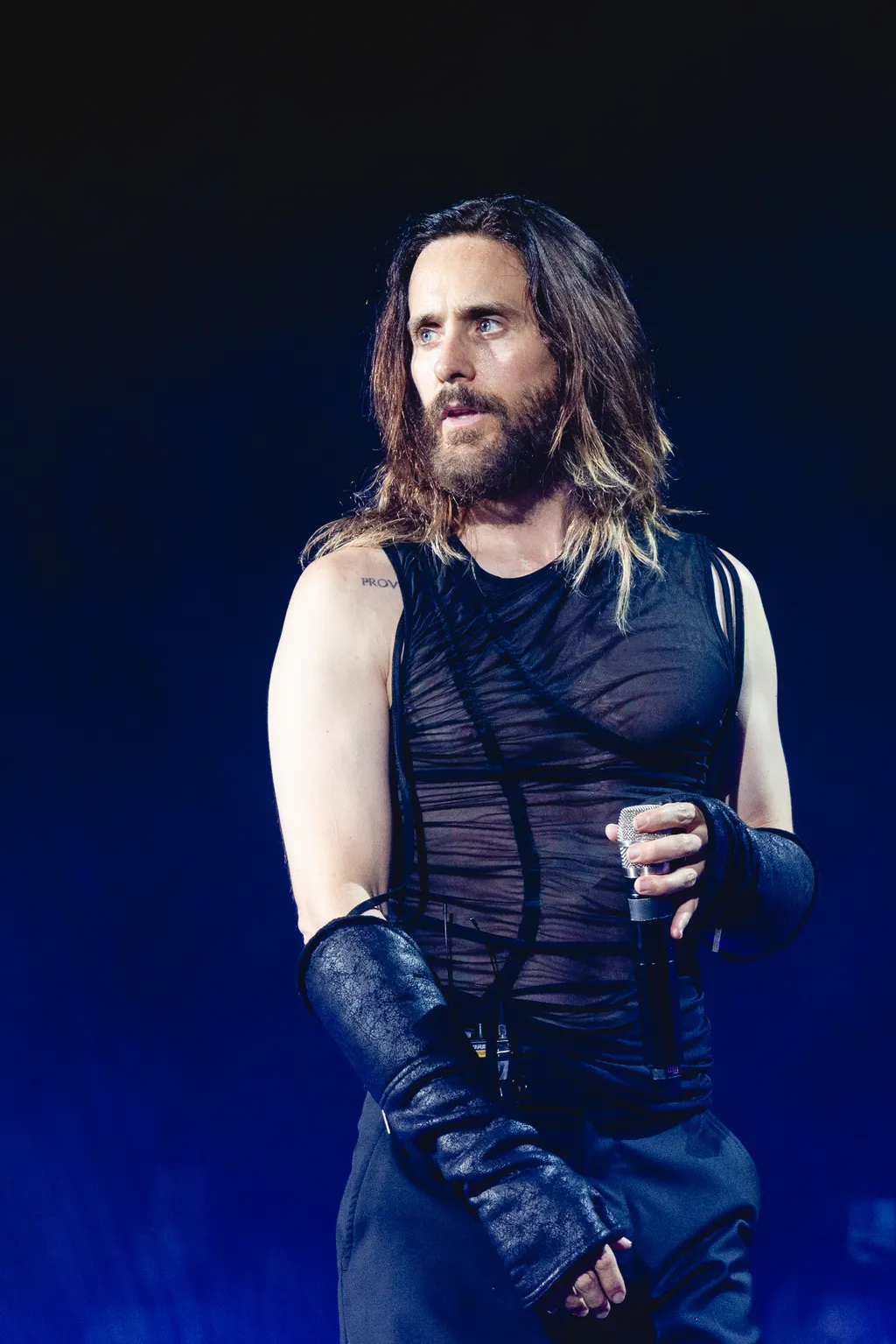 Galéria - Macsó férfiak szakállal és nélküle RIPOST - Adrián
