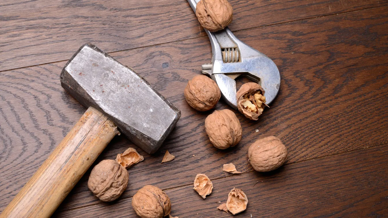 Így tudod legkönnyebben kiszedni a dióbelet