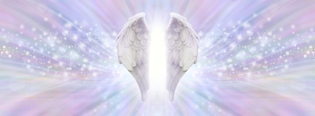 Shimmering,Angel,Wings,Header,-,Pair,Of,Beautiful,Feathered,Wings