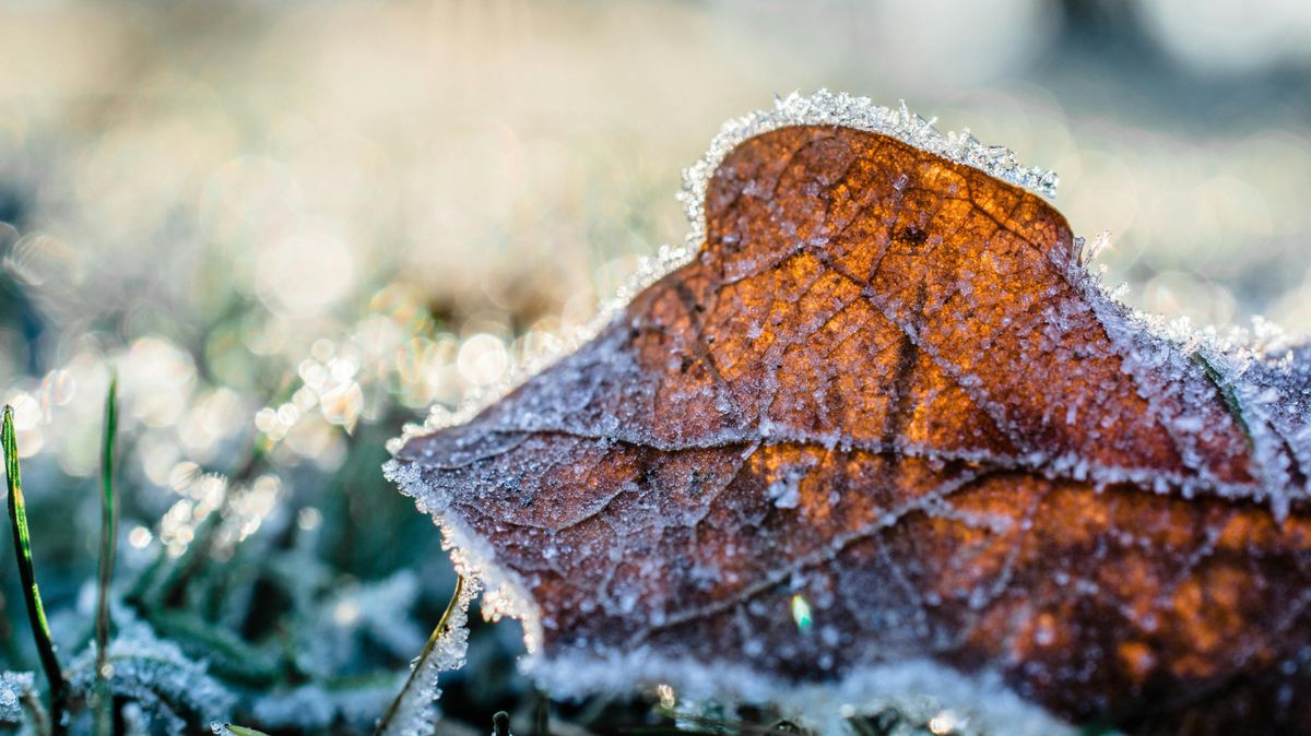 Bekeményít az időjárás: már talaj menti fagyokkal is számolni kell