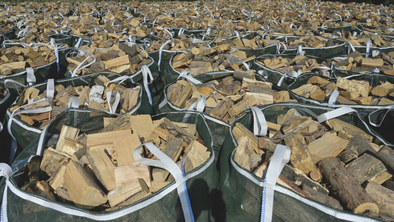 15 dolog, amire mindenképpen figyelj tűzifavásárláskor