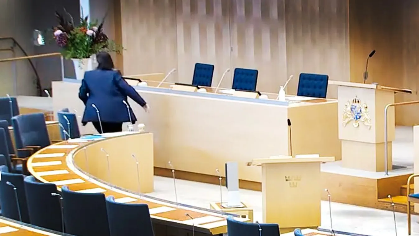 Paradicsommal dobálták meg a svéd külügyminisztert