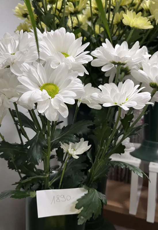 Halottaknapja. Drágább a körúton a virág, mint a temetőkben